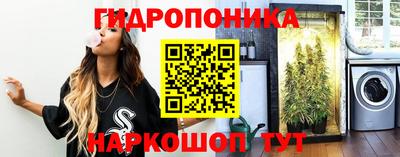 дмт Ставрополь
