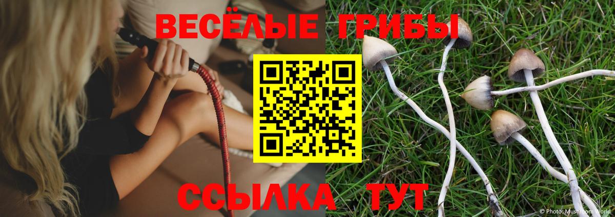 Галлюциногенные грибы GOLDEN TEACHER  Вход с VPN  Новокубанск 